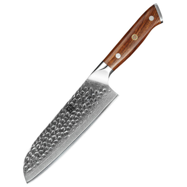 Professional Kitchen Santoku Knife 67 Layers Damascus Steel with Natural Desert Ironwood