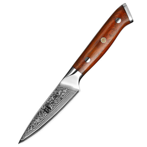 XINZUO Hot Selling 67 Layers Damascus Steel Paring Knife Carbon Steel Rosewood Handle Kitchen Gifts