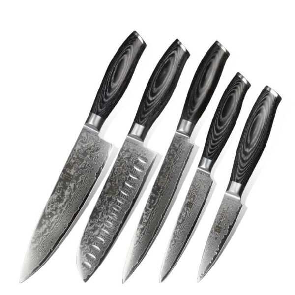 Knife Set Professional Japanese Damascus Steel 5 Pcs B20 5PCS Knife Set Carbon Steel Pakka Color Wood Handle Craftsman 60-62HRC